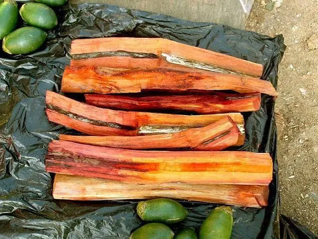 Kayu Secang